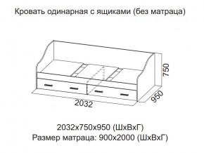 Кровать одинарная с ящиками (Без матраца 0,9*2,0) в Чусовом - chusovoj.магазин96.com | фото