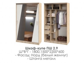 шкаф-купе ПШ-2.9 1500 Норд Белый жемчуг 1500 в Чусовом - chusovoj.магазин96.com | фото