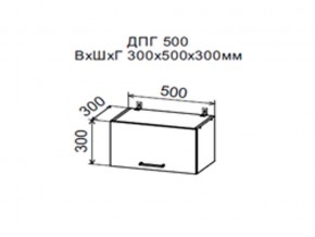 Шкаф верхний ДПГ500 горизонтальный в Чусовом - chusovoj.магазин96.com | фото