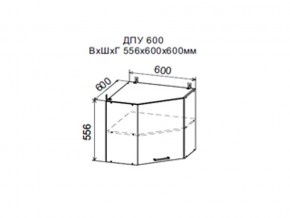 Шкаф верхний ДПУ600 угловой в Чусовом - chusovoj.магазин96.com | фото